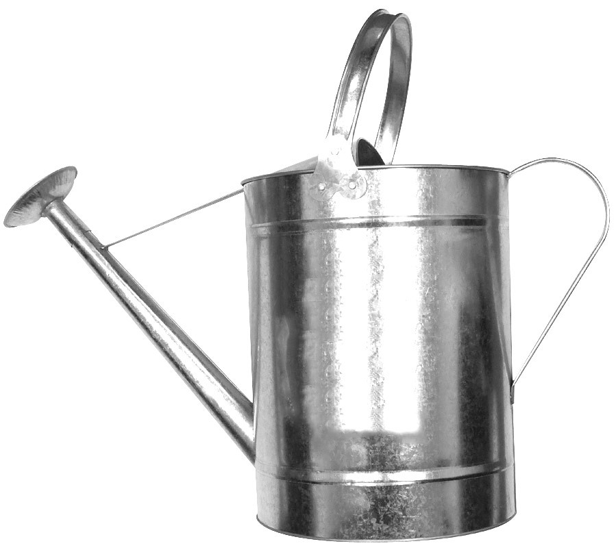10L Galvanised Water Can