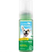 Fresh Breath - Mint Foam 130ml