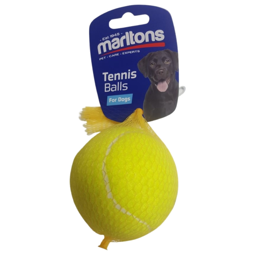 1 Pack Tennis Ball Large
