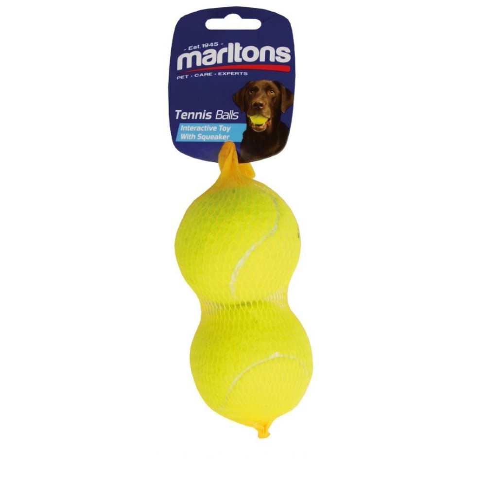 2 Pack Squeaky Tennis Ball Medium