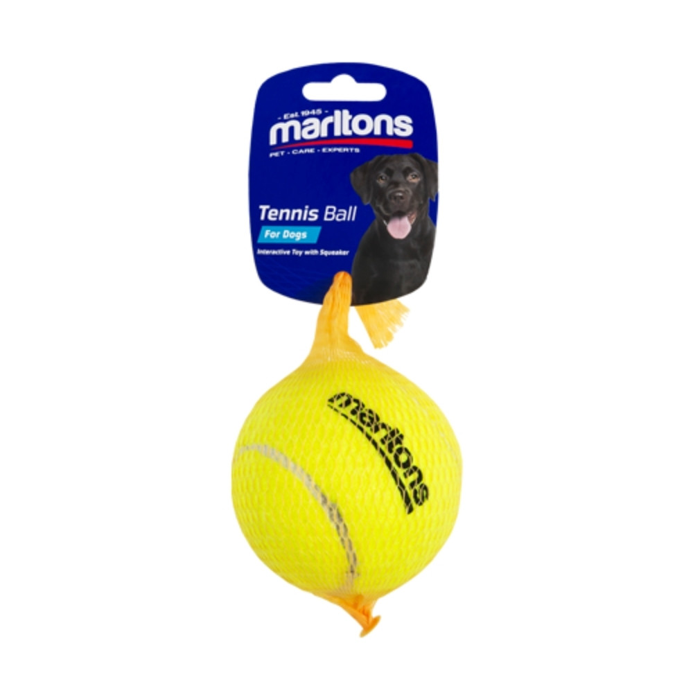 1 Pack Squeaky Tennis Ball Large