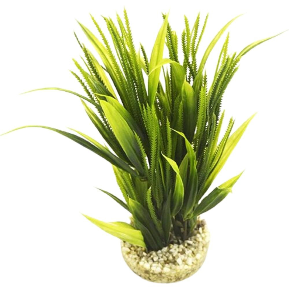 Tropical Grass 20cm