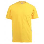 Lightweight Crew Neck T-Shirt - Various Colours