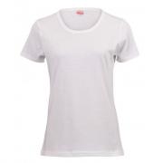 Women's Fitted Scoop Neck T-Shirt 160gm - Various Colours