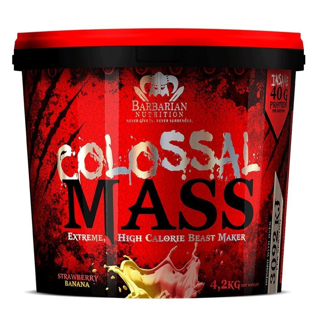 Colossal Mass 4.2kg