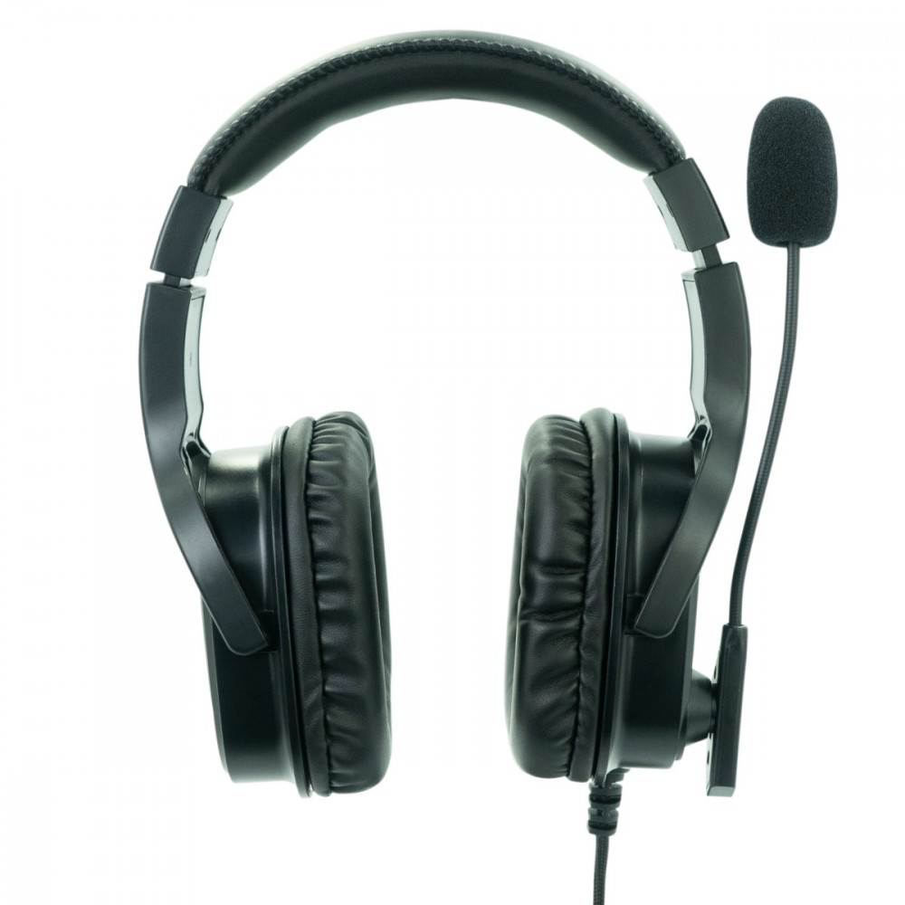 DHE-8010 Multimedia/Gaming Headset w Microphone AUX LED