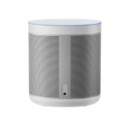 Smart Speaker