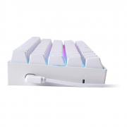 DRAGONBORN Wired Mechanical Keyboard RGB 67Key Design - White