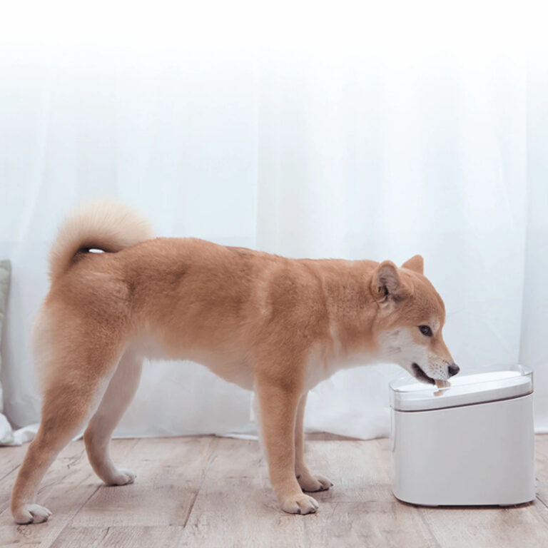 Smart Pet Fountain EU 1