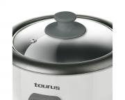 Rice Cooker With Glass Lid Plastic White 600Ml 300W Rice Chef Compact