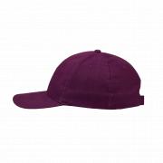 Promo 6 Panel Cap OSFM