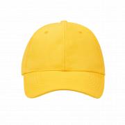 Promo 6 Panel Cap OSFM