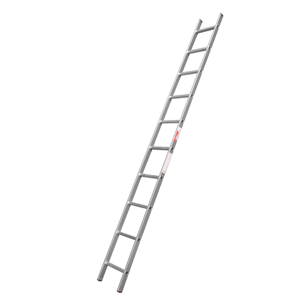 10 Step Lean To Ladder
