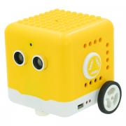 Resolute Novice Coding Robot For Kids