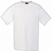 Mens 135g Barron Polyester T-Shirt