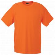 Mens 135g Barron Polyester T-Shirt