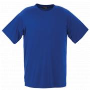 Mens 135g Barron Polyester T-Shirt