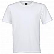 Mens 160g Crew Neck T-Shirt