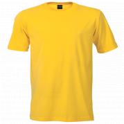 Mens 160g Crew Neck T-Shirt