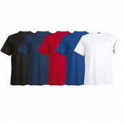 Mens Walker Birdseye T-Shirt