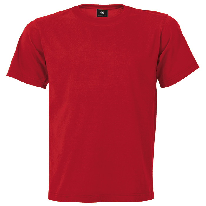 Mens Polyester Promo T-shirt