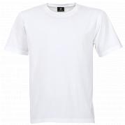 Mens Polyester Promo T-shirt