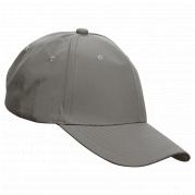 6 Panel Barron Active Apex Cap