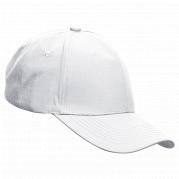 6 Panel Barron Active Apex Cap