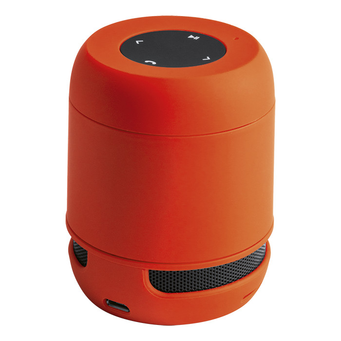 Braiss Bluetooth Speaker