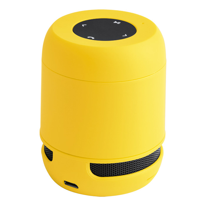 Braiss Bluetooth Speaker