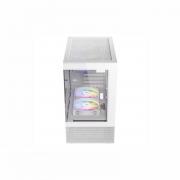 CX200M Elite Micro-ATX | ITX RGB Mini-Tower Gaming Chassis  White