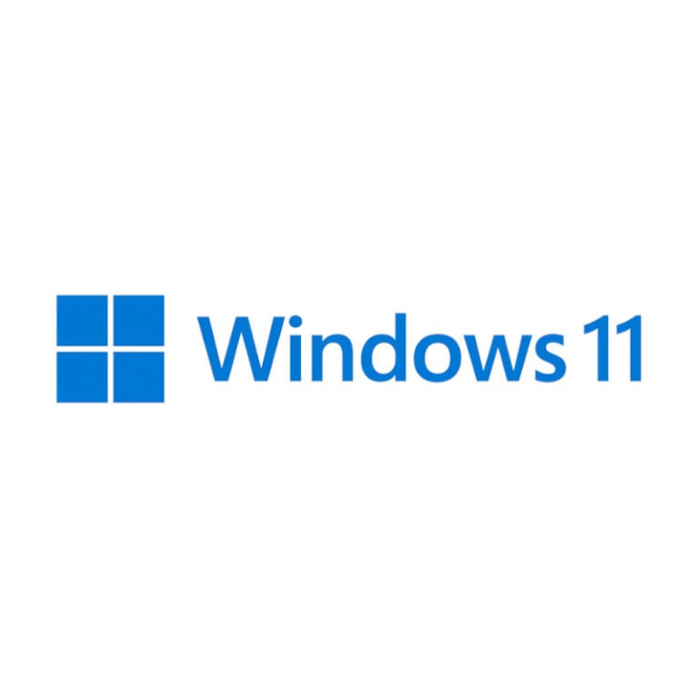 WIN 11 PRO 64BIT DSP