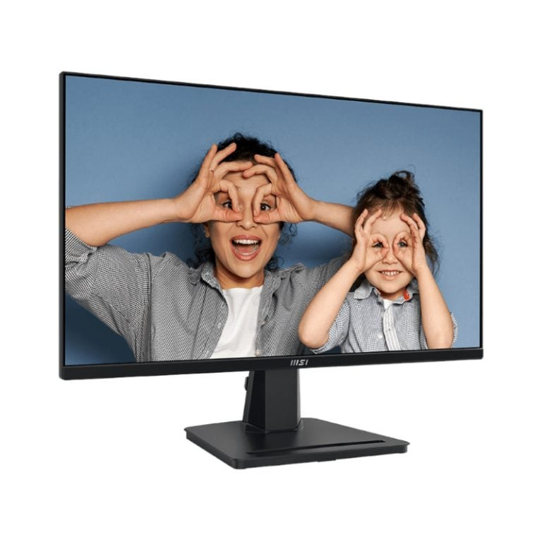 PRO MP251 Professional Monitor 1920×1080 (FHD) IPS 1ms 100Hz HDMI Black