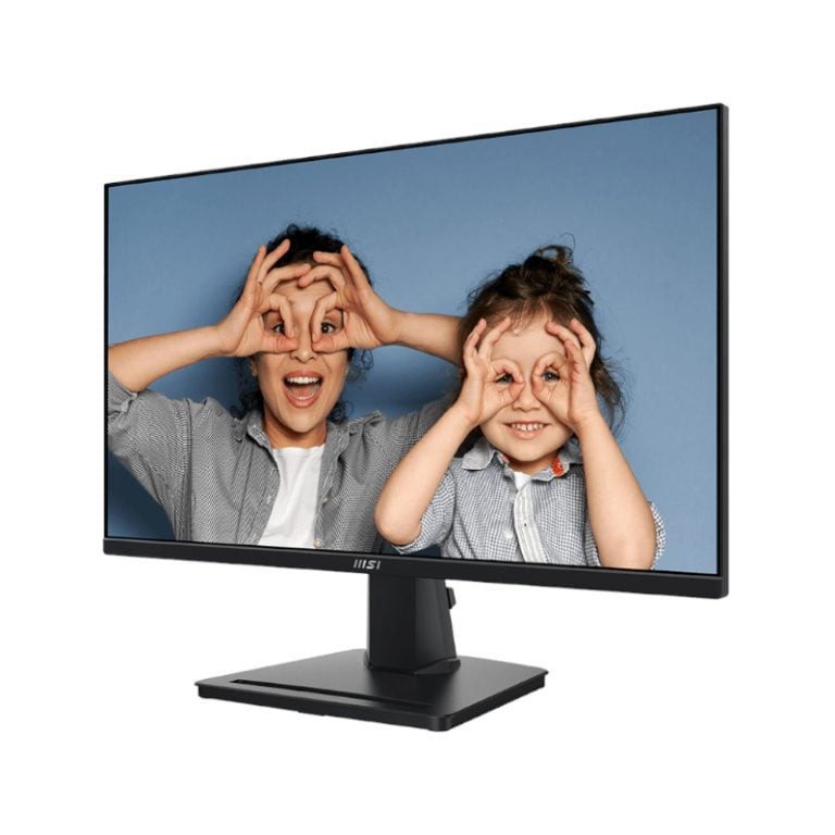 PRO MP251 Professional Monitor 1920×1080 (FHD) IPS 1ms 100Hz HDMI Black