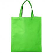 Budget Non-Woven Shopper