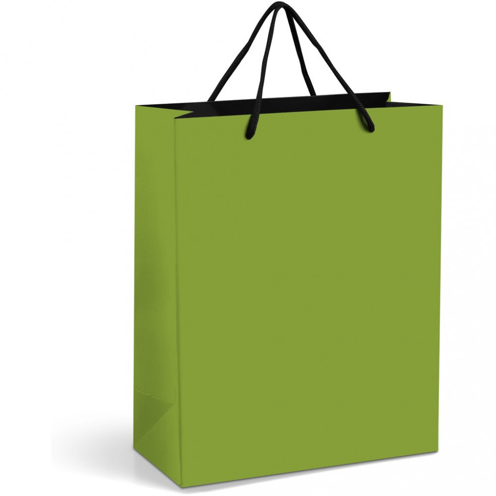 Omega Midi Paper Gift Bag