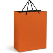 Omega Midi Paper Gift Bag