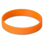 Fitwise Silicone Adults Wristband