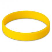 Fitwise Silicone Adults Wristband