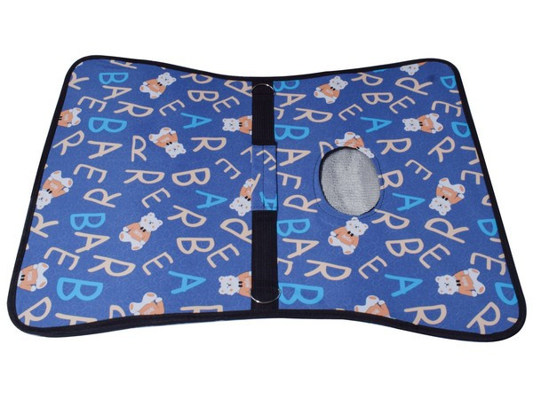 Cat Carrier Bag - Large - Blue