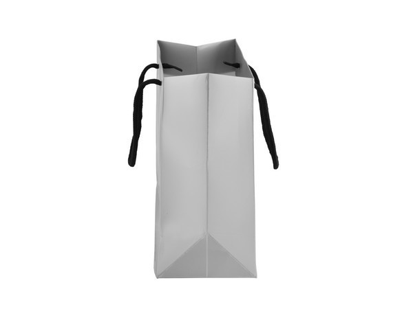 230gsm Matte Gift Bag - 23cm - Silver