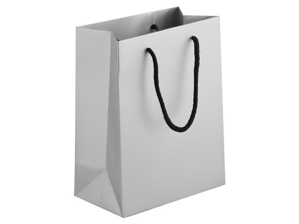 230gsm Matte Gift Bag - 33cm - Silver