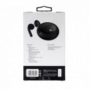 Future Series True Wireless Earphones with Charging Case - Black