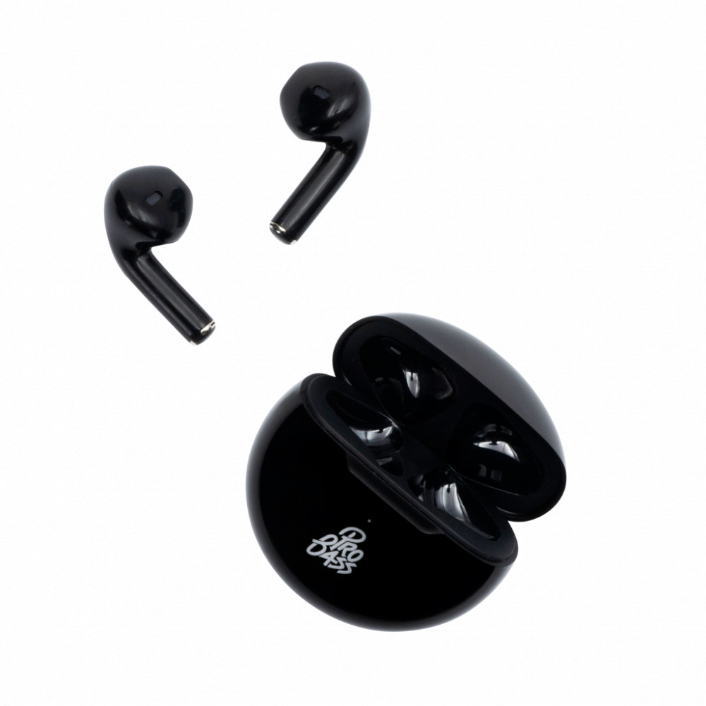 Future Series True Wireless Earphones with Charging Case - Black