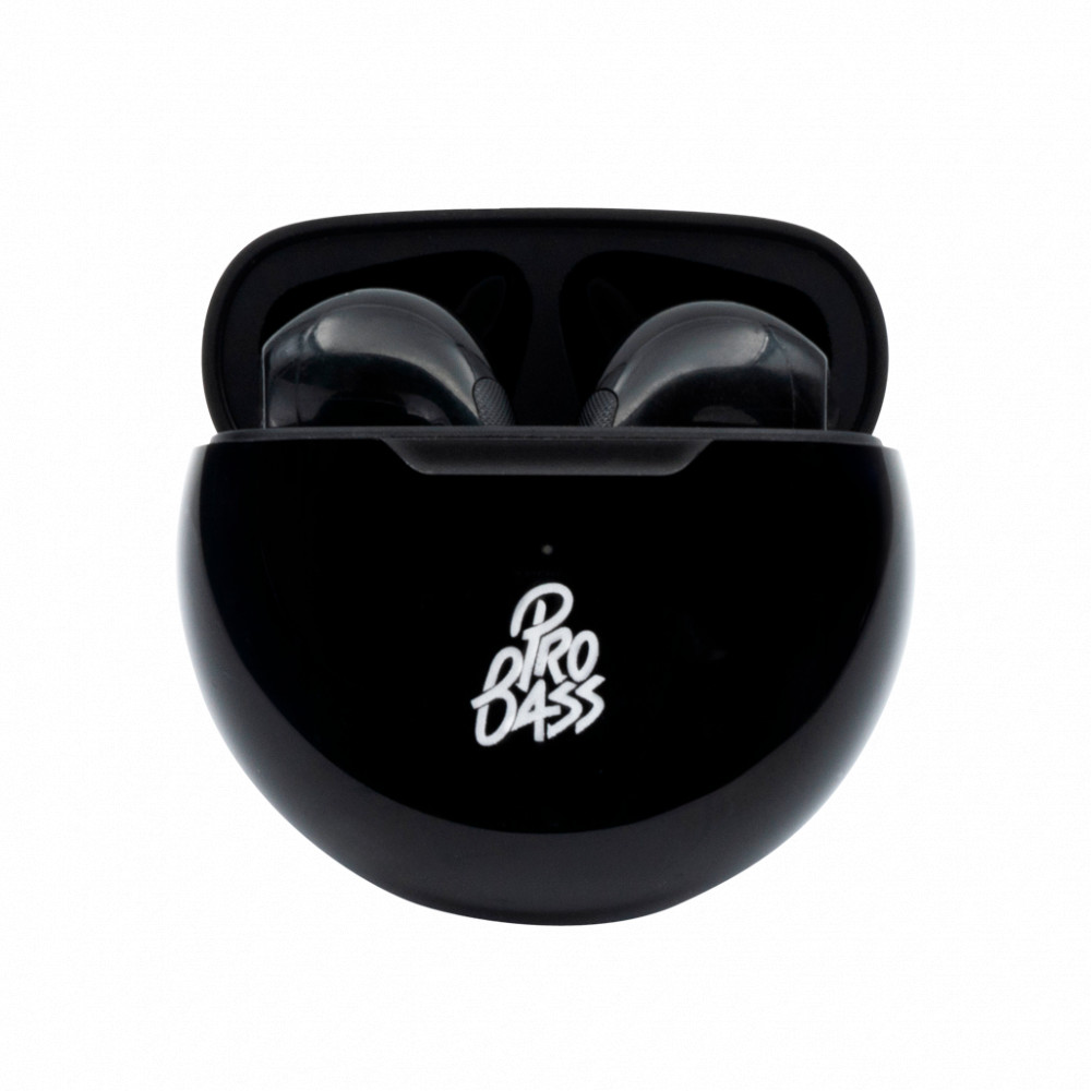 Future Series True Wireless Earphones with Charging Case - Black