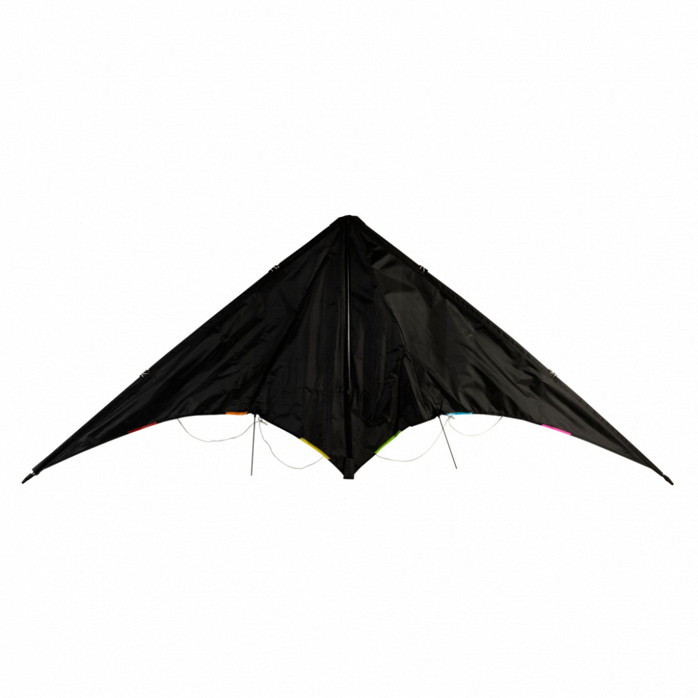 Dual Line Delta Stunt 180cm Kite Multi