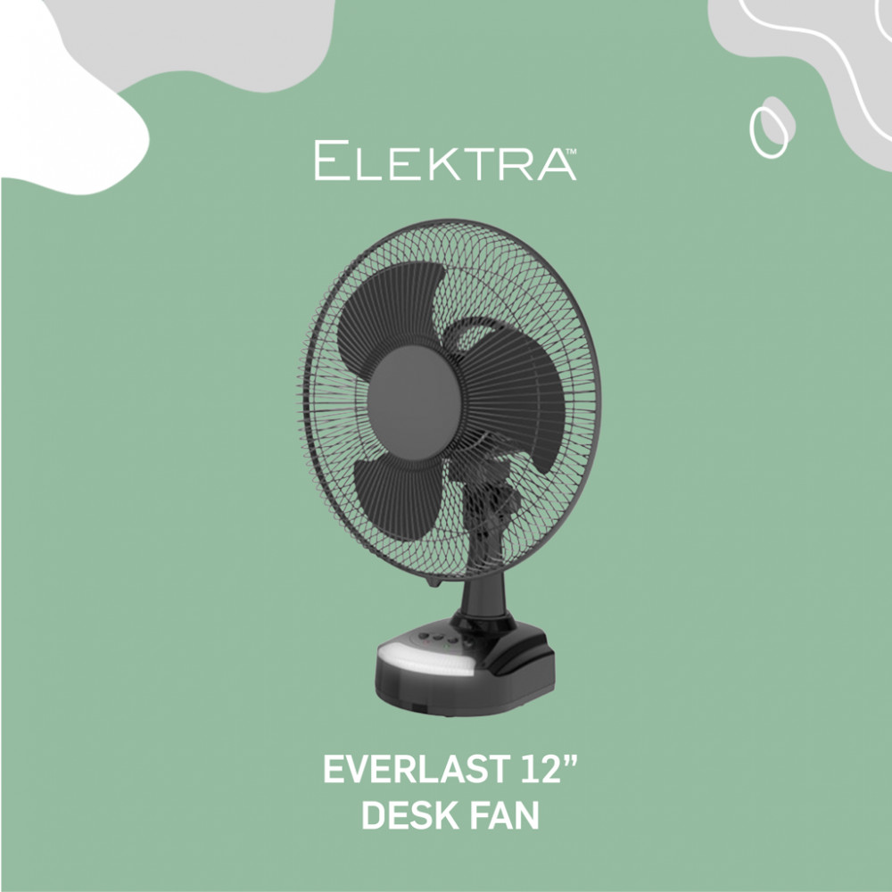 EVERLAST 12 inch DESK FAN