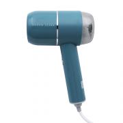 Handheld Steamer