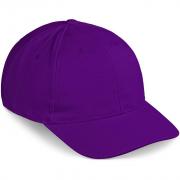 Pro Basic Cap - 6 Panel